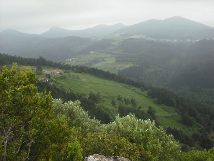 Paisaje para boda celta