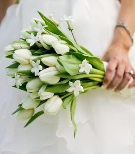 Tulipanes blancos