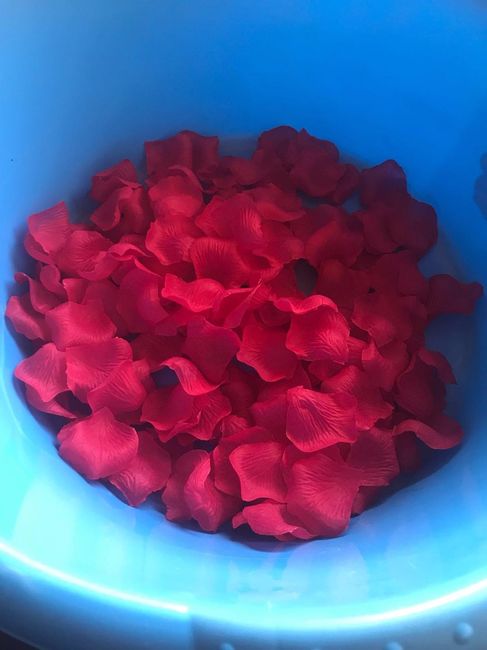 petalos ya separados