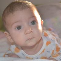 Joel 2 meses
