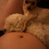 Miranda, Fluck y Camilo Sesto