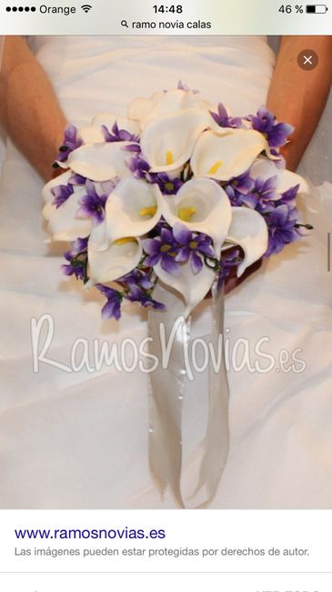 Chicas necesito fotos de ramos... - 2