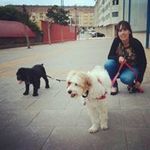 Celia