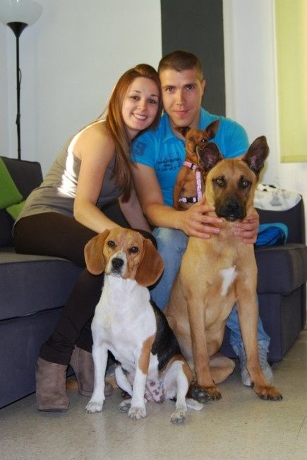 Rocky, Luca y Jazz