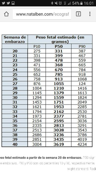 Nuevo futuras mamas enero 2017 - 1