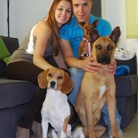 Rocky, Luca y Jazz