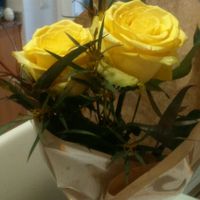 Sant jordi - 1