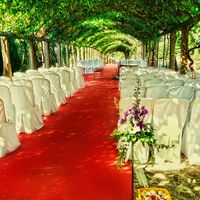 CEREMONIA CIVIL AL AIRE LIBRE
