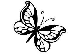 MARIPOSA