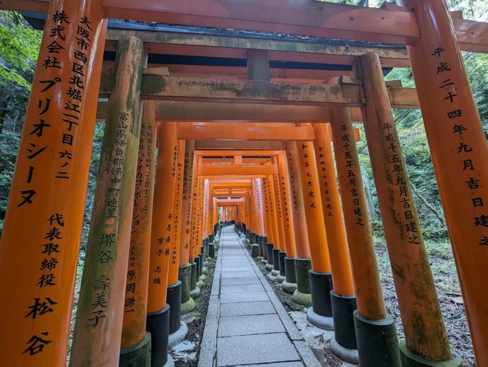 Costa Oeste o Japón 2