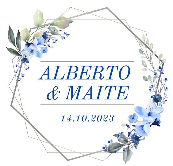 ¿Cómo es vuestro logotipo de boda? 3