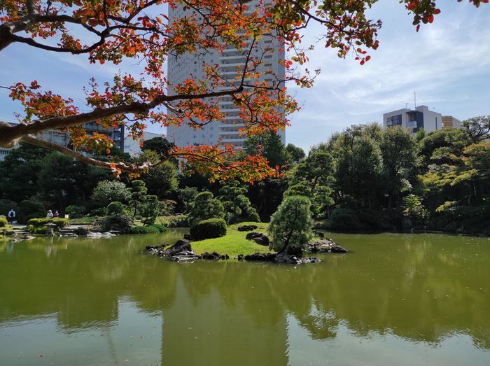 Luna de miel a Japón: lo que nos costó 11