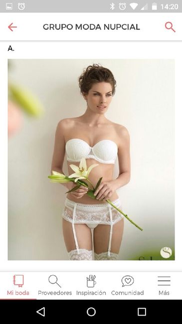 Novia princesa - 4