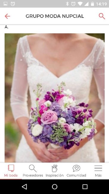Novia princesa - 5