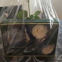 Que perfume vais a elegir? - 1