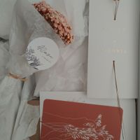 Ayudaa Cotton Bird. - 1