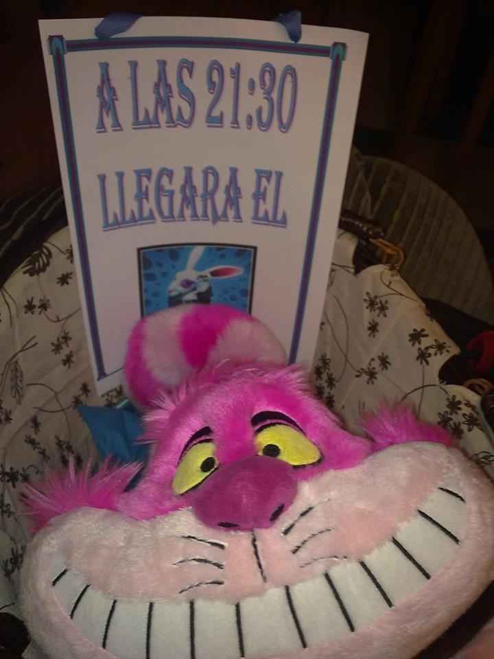Cestita