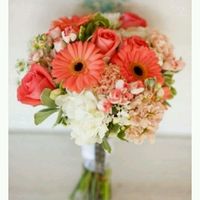 Color coral. - 1