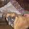 Sonia