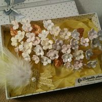 Mi tocado! - 1