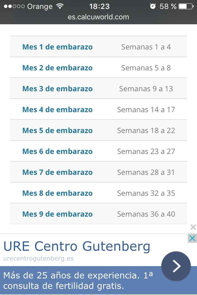 ¿cómo se cuentan los meses de embarazo? - 2