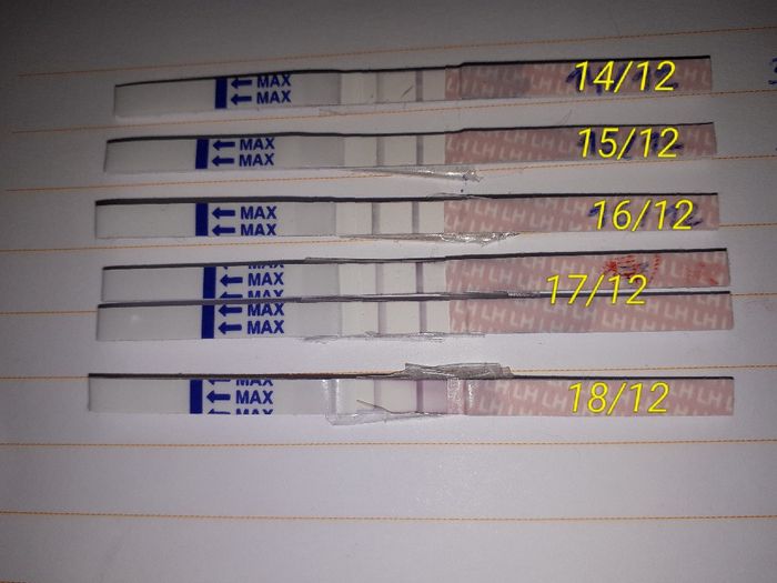 Sop... ¿analisis hormonal? 1