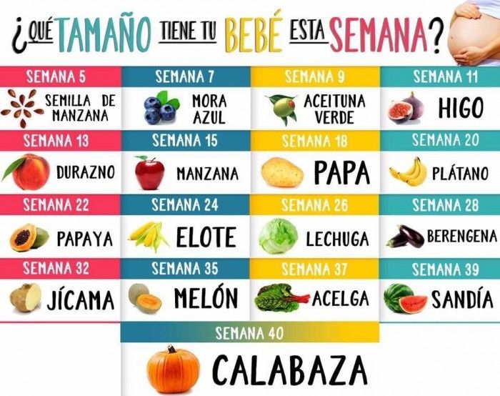 Tamaño del bebé cada semana