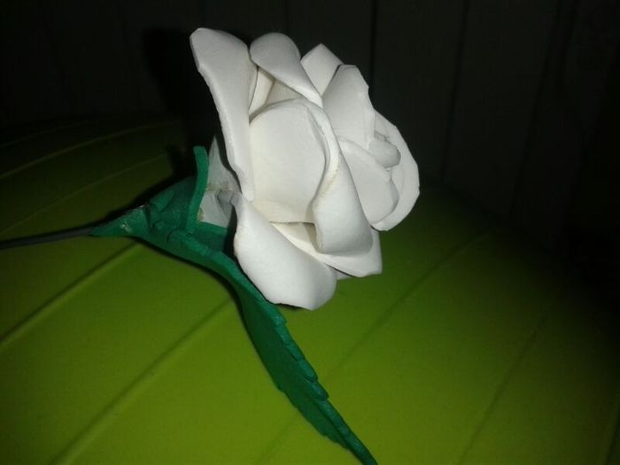 perfil hoja