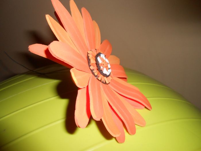 gerbera de perfil