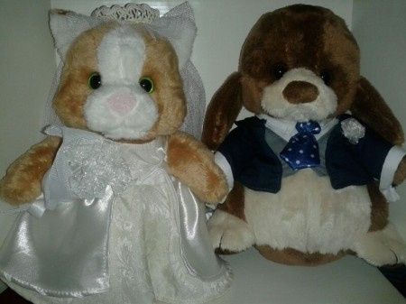 peluches novios