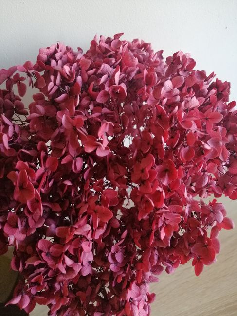 Flores preservadas: dónde he comprado, fotos, etc 3