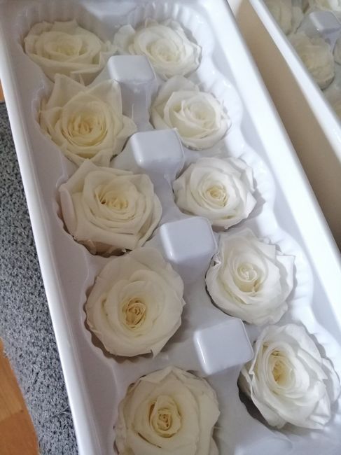 Flores preservadas: dónde he comprado, fotos, etc 7