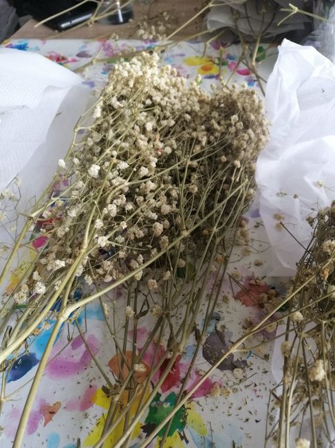 Flores preservadas: dónde he comprado, fotos, etc 9