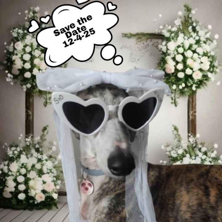 Estoy guapa si o no? - 1