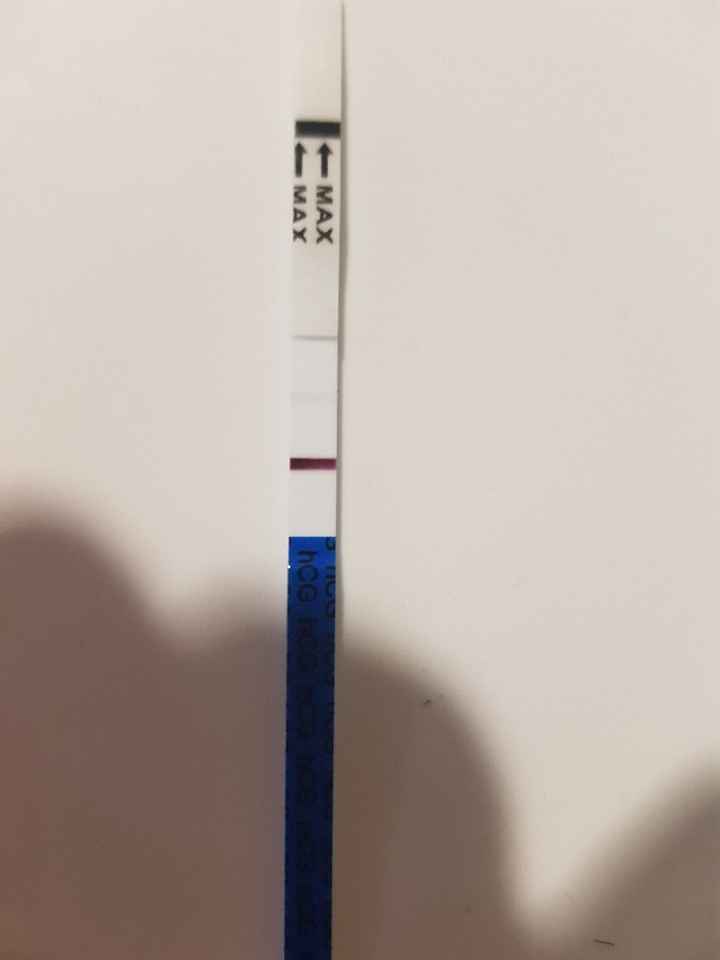 Test de embarazo dudoso - 1