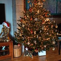 ¿Soléis decorar vuestra casa con adornos navideños? - 1