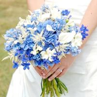 Ramo de novia azul - 1