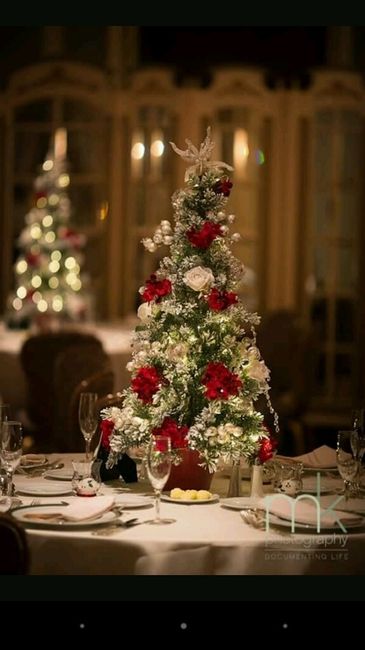 Boda invierno - 8