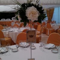 Bodas en 2014 en la finca el olivar!! - 2
