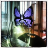 agradecimiento mariposa
