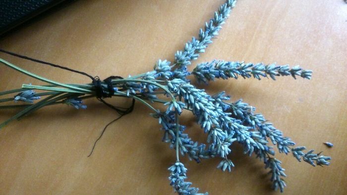 Invitaciones: paniculata fresca o seca? - 1