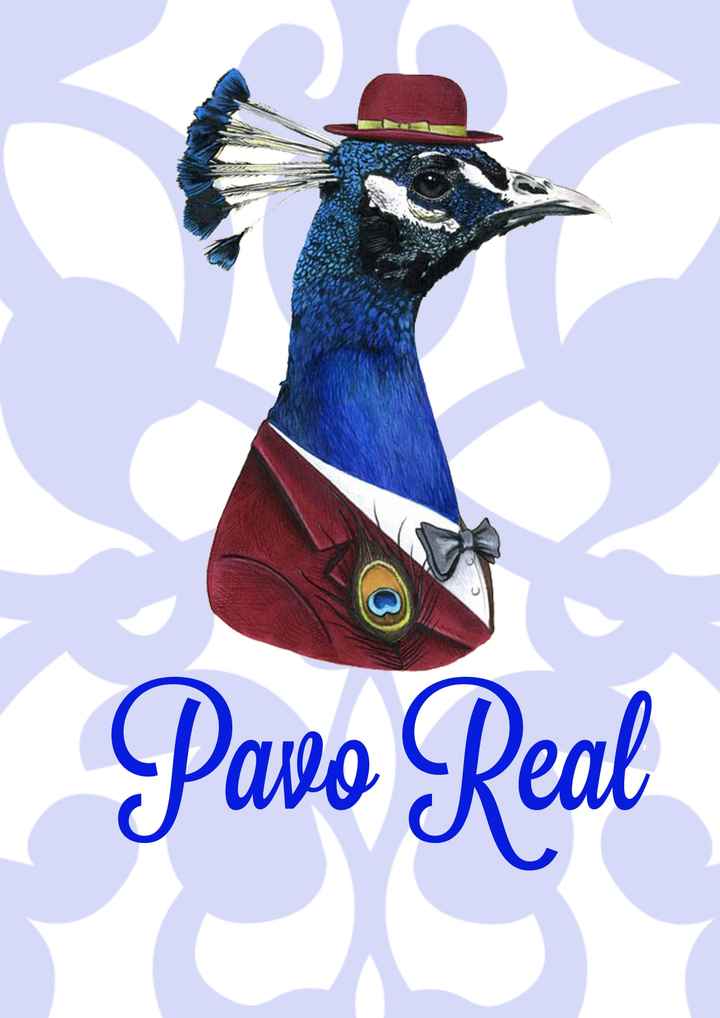 pavo real