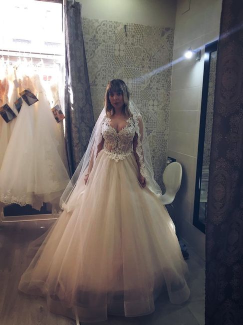 Mishel Eurodress, ¿alguna lo conoce? 3