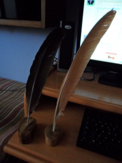 Plumas con soporte