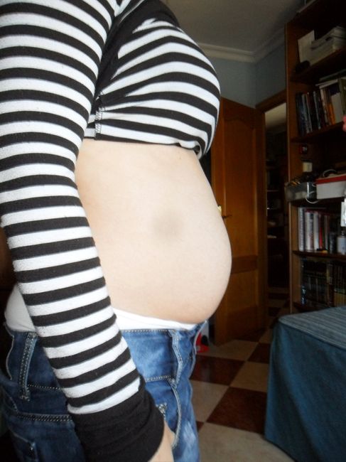 Barriga 14 semanas