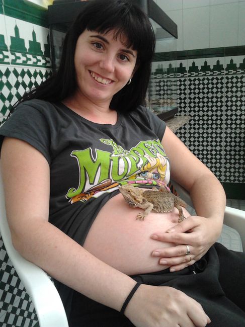 Barriguita 19 semanas