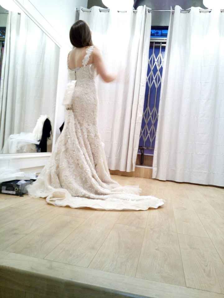 El verdadero color del vestido 