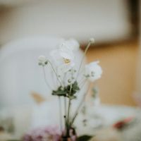  Centros de mesa con paniculata - 1