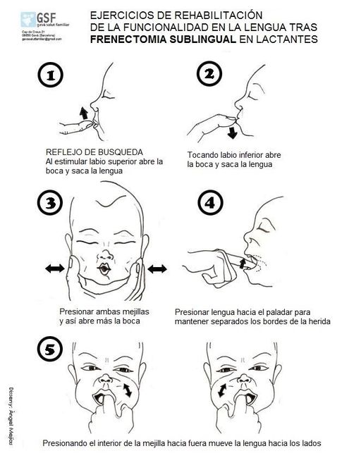 Apoyo a la lactancia materna - 5