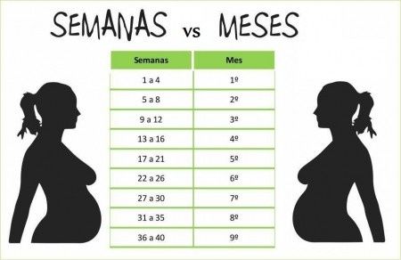 Semanas vs Meses